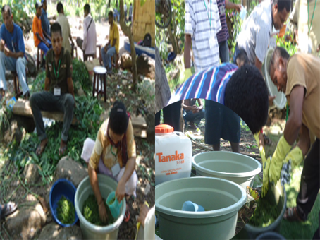 PEMBUATAN PUPUK BOKASI CAIR