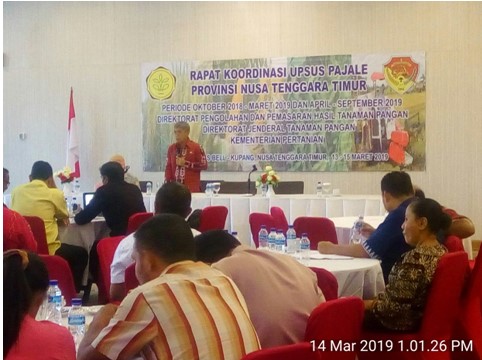 TOPI UPSUS PAJALE PROVINSI NUSA TENGGARA TIMUR