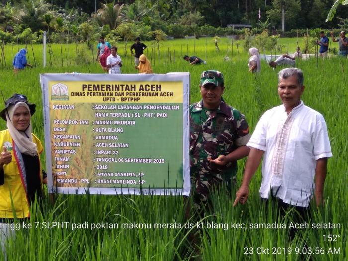 Pengendalian Hama Terpadu pada padi sawah poktan Makmue merata Desa Kuta Blang