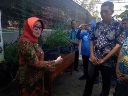 Kelompok Asman  Seketi Asri Wakili Jombang Lomba Pemanfaatan Toga Tingkat Provinsi Jawa Timur