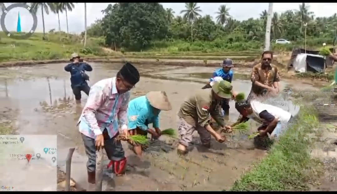 Tingkatkan Produktivitas, Penyuluh Lakukan Percepatan Tanam Varietas Unggul