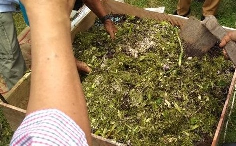 PENGOLAHAN LIMBAH/SAMPAH SEBAGAI KOMPOS