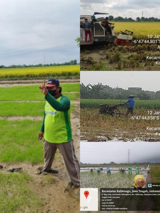 Melaksanakan IP400 di Desa Kedungdowo Kecamatan Kaliwungu Kabupaten Kudus (artikel 31 Januari 2022/ Upload Ulang Tgl 15 Januari 2023)