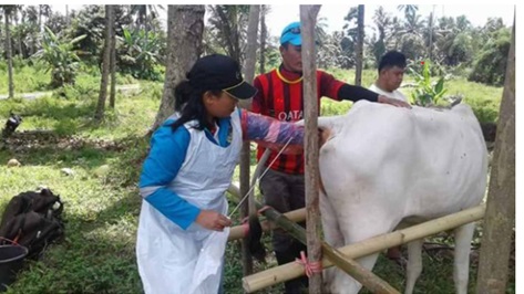 Mengenal Istilah-Istilah Pada Asuransi Usaha Tani Padi