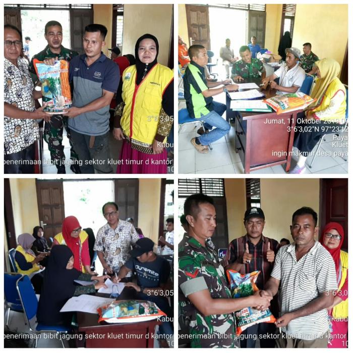penyaluran benih jagung bisi 226 kepada kelompok tani di bpp ( balai penyuluhan pertanian ) kluet timur