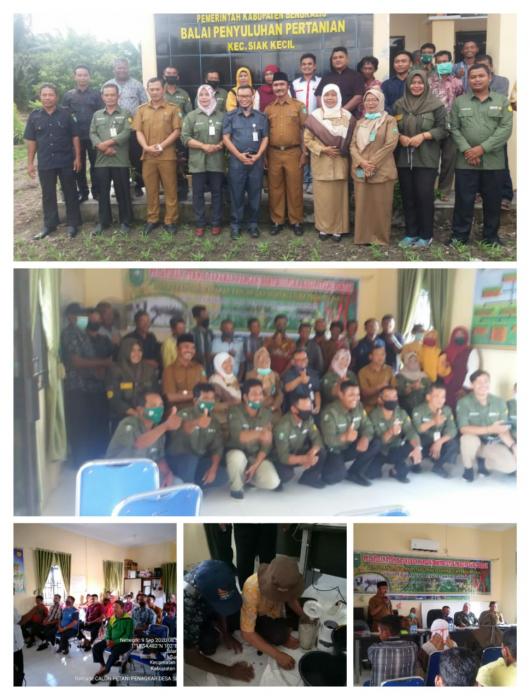 Pelatihan Teknis Tanaman Pangan Dan Hortikultura Bagi Poktan/petani  Di UPT BPP Kec. Siak Kecil Kab. Bengkalis Provinsi Riau
