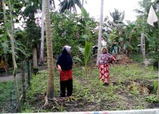 Pemamfaatan Lahan Perkarangan.