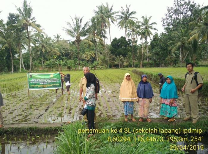 SEKOLAH LAPANG IPDMIP