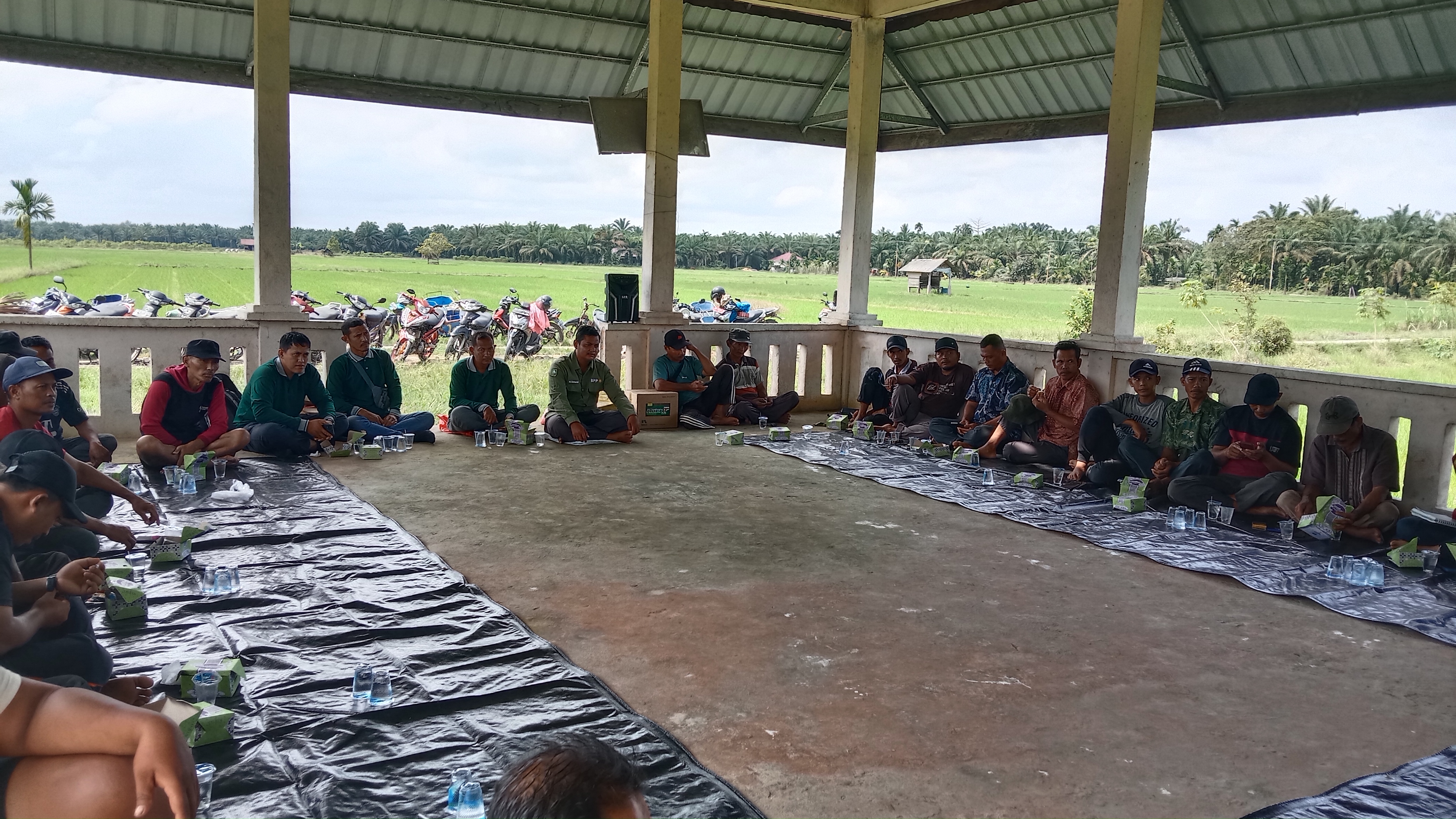 TEMU LAPANG DI SAUNG TANI GAPOKTAN SRI WEDANA  KECAMATAN SIAK KECIL KABID PENYULUHAN KABUPATEN BENGKALIS