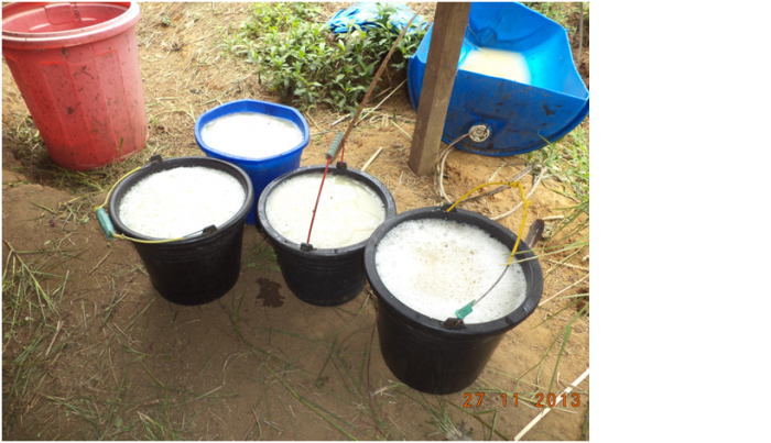 Pemanfaatan Limbah Biogas Cair Sebagai Pupuk Organik Cair