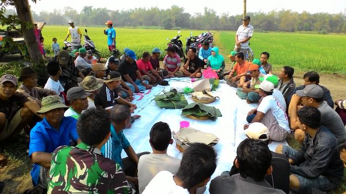 WIWIT (TRADISI MENJELANG PANEN PADI)