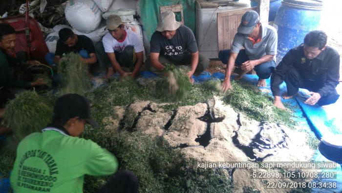 TEKNIK PEMBUATAN SILASE LENGKAP