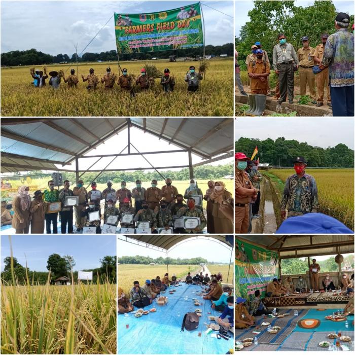 PERINGATI HARI TANI NASIONAL 2020 MELALUI FFD KAJI TERAP PADI SAWAH DAN PEMBERIAN PENGHARGAAN INSAN PERTANIAN