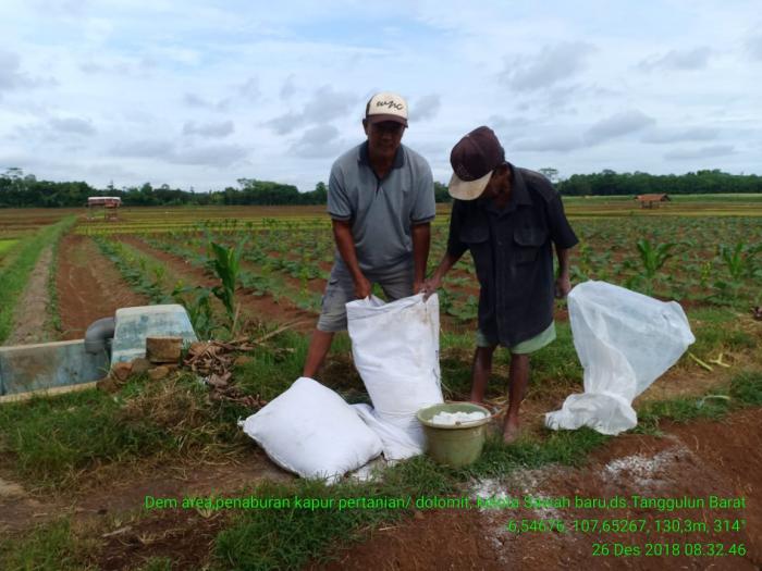 MANFAAT KAPUR PERTANIAN (DOLOMIT) UNTUK MENINGKATKAN PH TANAH