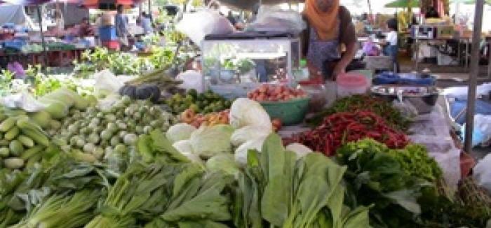 KEMENTAN DORONG PENYULUH UNTUK MEMULAI BISNIS PERTANIAN