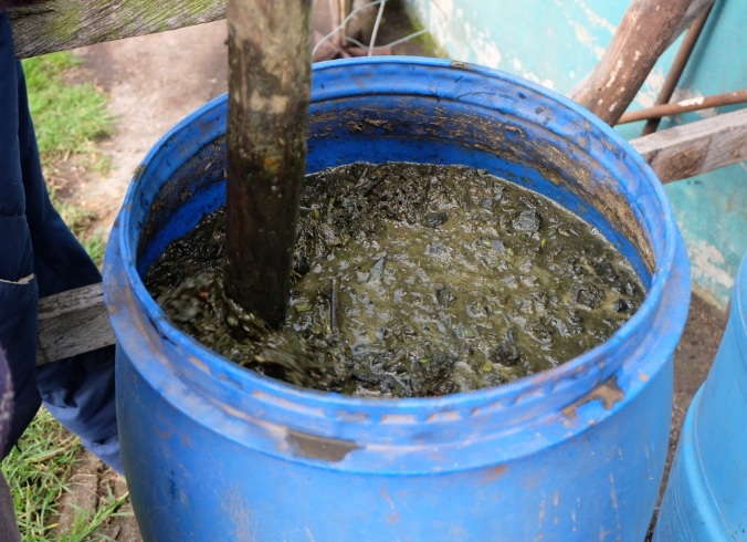 PEMBUATAN PUPUK ORGANIK CAIR NITROGEN (N) 