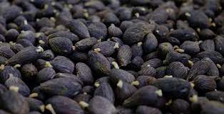 Memilih Benih Unggul Sawit