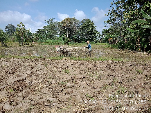 PENGOLAHAN TANAH PADA TANAMAN PADI SAWAH KECAMATAN WAWOTOBI KAB. KONAWE