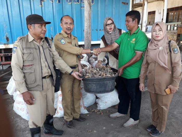 KOSTRA TANI WAWO KAWAL PETANI BIMA PANEN KUNYIT SUPER