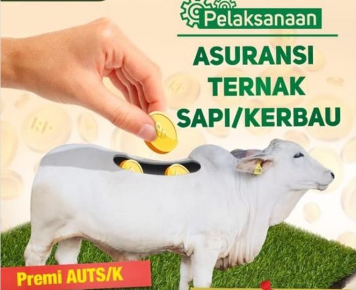 SOLUSI EFEKTIF  PEROLEH BENIH PERKEBUNAN BERKUALITAS MELALUI APLIKASI BANK BENIH PERKEBUNAN (BABE BUN )