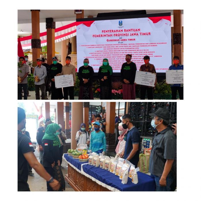 IBU GUBERNUR JATIM MENCICIPI MANGGA SITUBONDO DAN MENYERAHKAN  BANTUAN KEPADA KELOMPOKTANI SITUBONDO