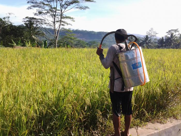 PESTISIDA NABATI UMBI GADUNG