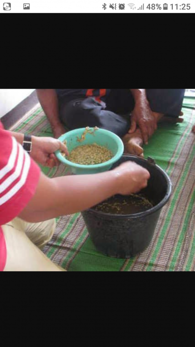 CARA PEMILIHAN BENIH BERNAS