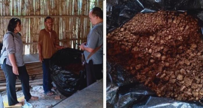 PENGOLAHAN LIMBAH TANAMAN JAGUNG UNTUK PAKAN TERNAK BERMUTU