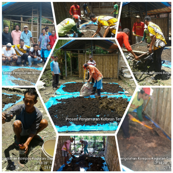 PEMBUATAN BHOKASI BERBAHAN DASAR LIMBAH KOTORAN TERNAK SAPI DI GAPOKTAN TANI MAJU DESA PANDEAN KECAMATAN KARANGANYAR KABUPATEN NGAWI