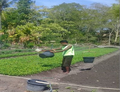 BUDI DAYA TANAMAN KANGKUNG