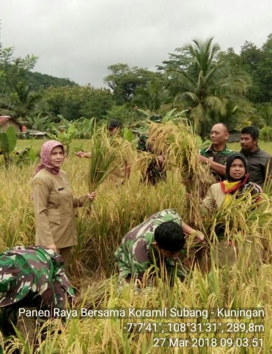 Teknik Penanganan Pasca Panen