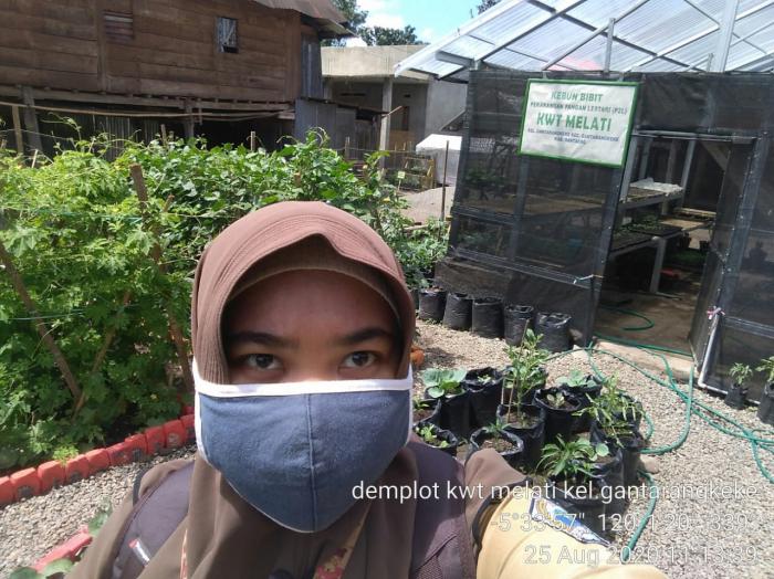 PENINJAUAN KEBUN DEMPLOT KWT MELATI KEL.GANTARANGKEKE KEC.GANTARANGKEKE KAB.BANTAENG