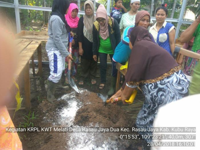 Kompos Trichoderma sebagai Pengendali Penyakit Antraknose pada Tanaman Cabai