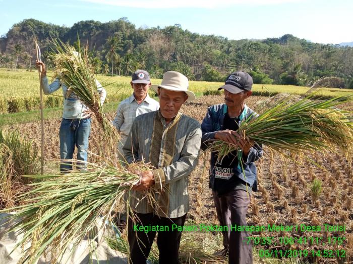 PROGRAM IPDMIP DI DESA TARISI KEC. WARUNGKIARA