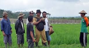 SINERGITAS PENELITI, PENYULUH, DAN PETANI DALAM UPAYA MENINGKATKAN PRODUKTIVITAS PERTANIAN