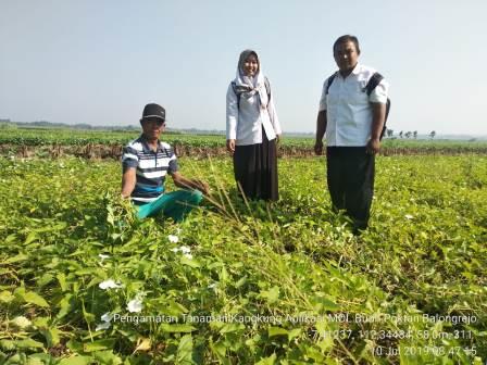 APLIKASI BUAH DALAM PEMBENIHAN KANGKUNG