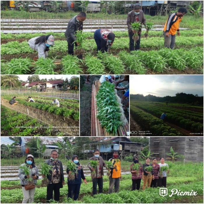 Kunjungan Kerja Bkp Kementan Ri Membawa Berkah