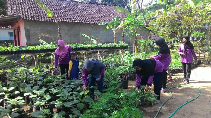 Penganekaragaman Konsumsi Dan Keamanan Pangan Melalui Pemanfaatan Pekarangan