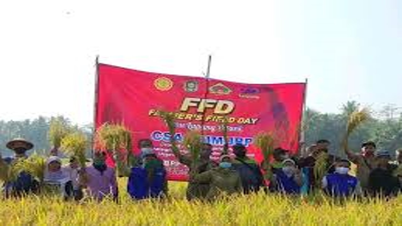 HARUMNYA TANAMAN SERAIWANGI