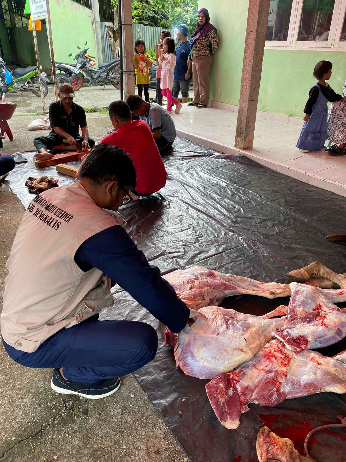 PEMERIKSAAN HEWAN KURBAN OLEH TIM KESEHATAN HEWAN UPT. BPP KECAMATAN BATHIN SOLAPAN KABUPATEN BENGKALIS