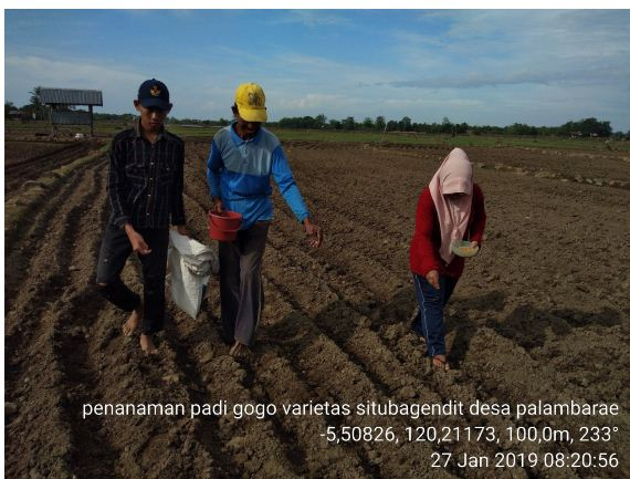 PENGOLAHAN TANAH DAN SISTEM TANAM PADI GOGO