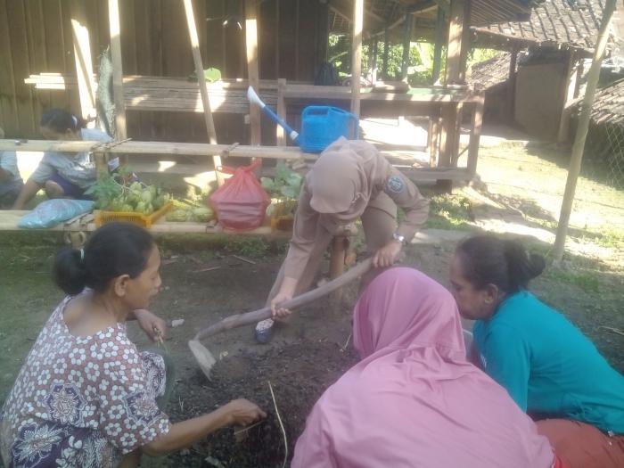 Cara Pembuatan Bokhasi (pupuk Kandang) Kecamatan Ngebel