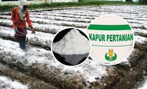 MANFAAT PENGAPURAN UNTUK LAHAN PERTANIAN