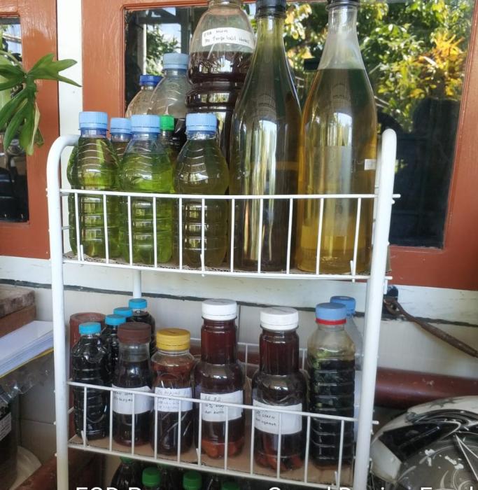 PEMANFAATAN ECO-ENZYME UNTUK TANAMAN