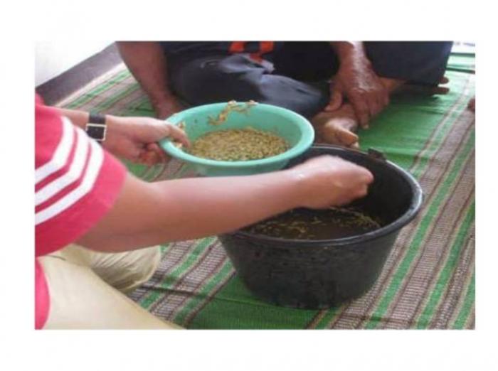 Seleksi Benih Padi Secara Sederhana