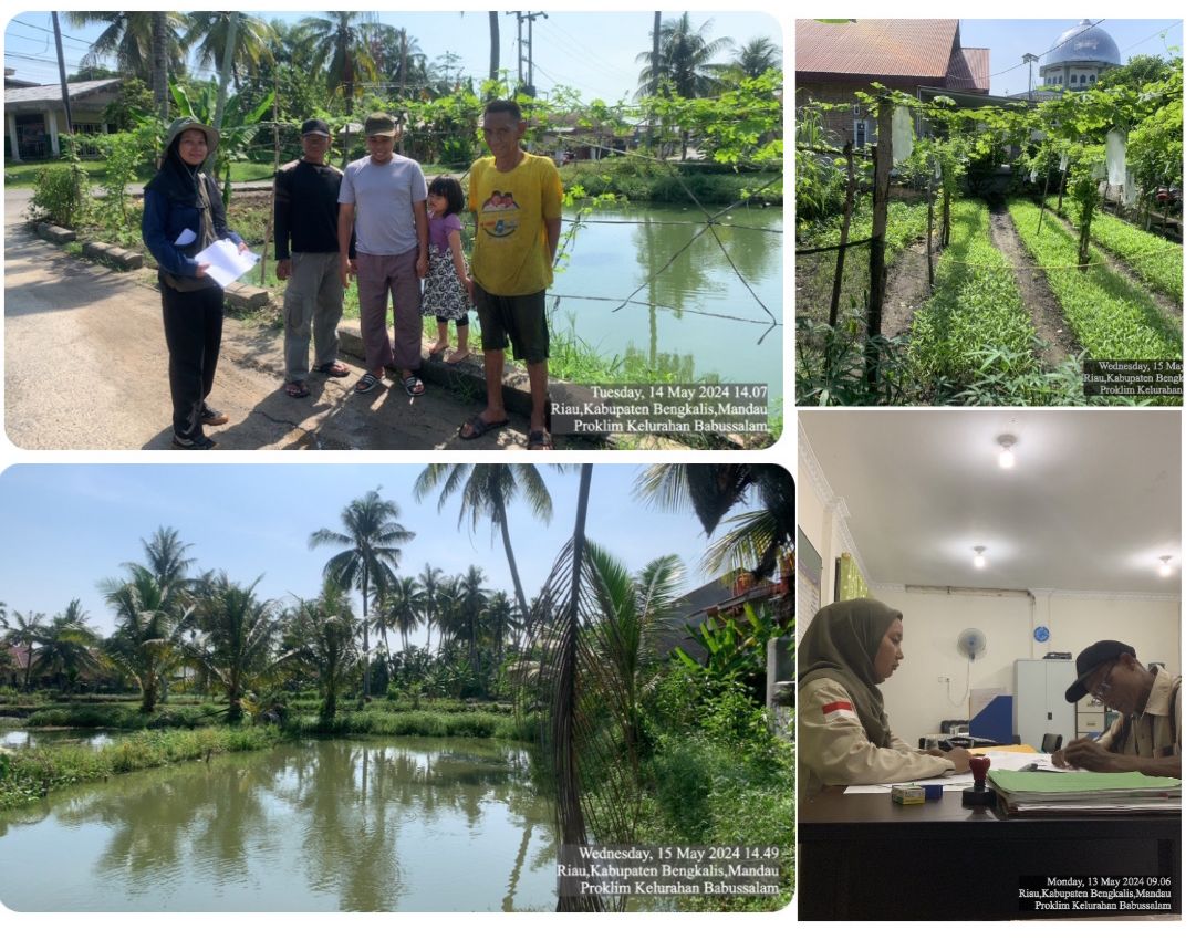 PELAKSANAAN KEGIATAN PENGUMPULAN DAN PENCATATAN DATA PROGRAM KAMPUNG IKLIM DI KELURAHAN BABUSSALAM KECAMATAN MANDAU