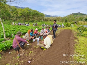 MONITORING  KOORDINATOR  PENYULUH 