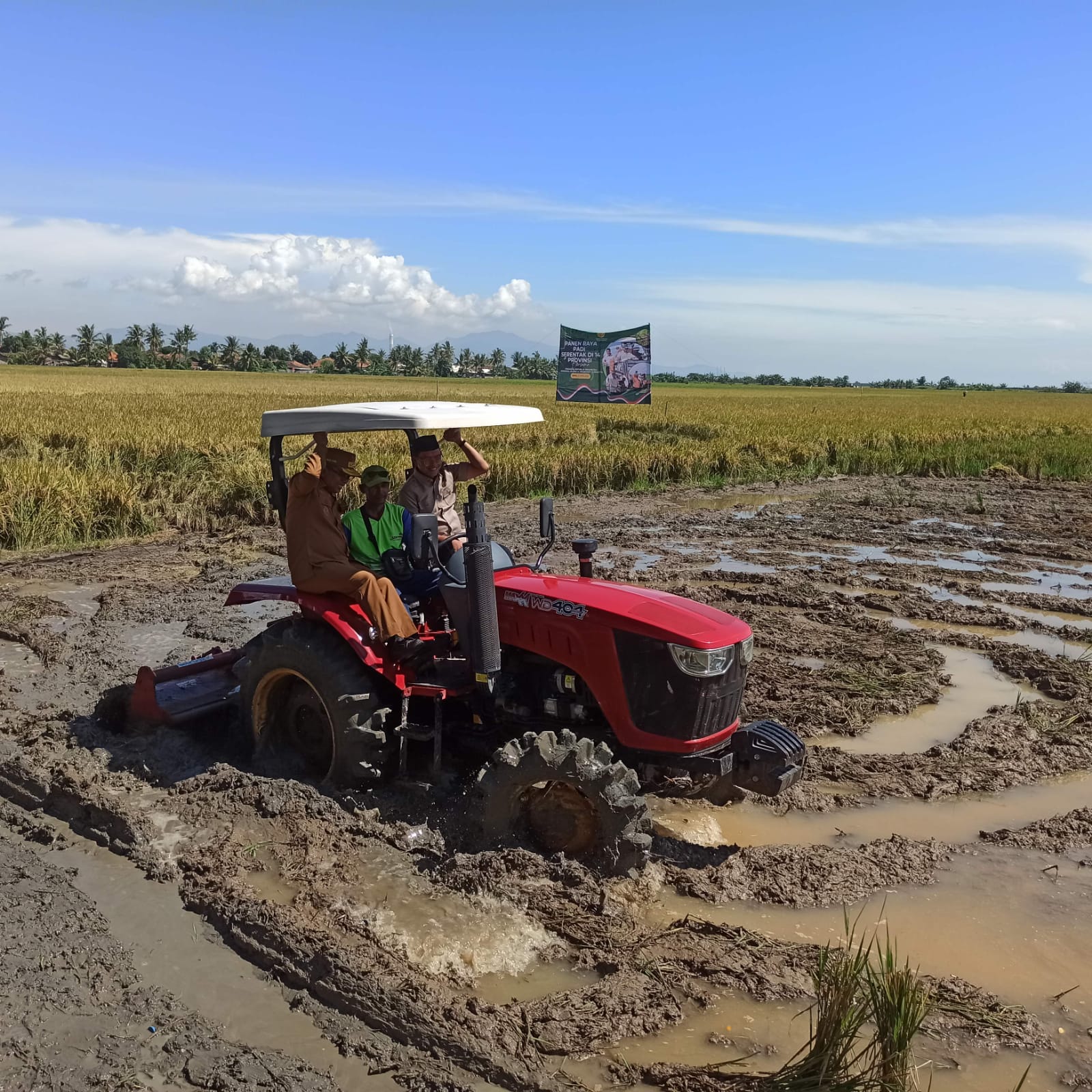 Panen Raya Padi Serentak di Provinsi Banten Mendukung Swasembada Pangan Nasional