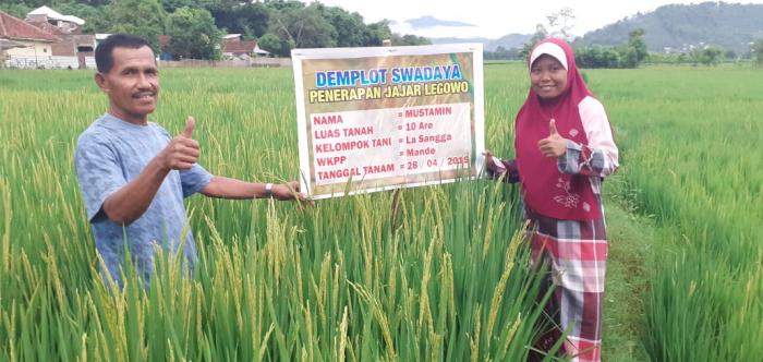 Demontrasi Plot (Demplot) Swadaya Penerapan Sistem Tanam Jajar Legowo Dengan Komponen Pengelolaan Tanaman Terpadu (PTT) Di WKPP Mande Kota Bima