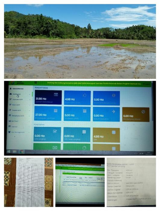 ALUR SISTEM APLIKASI ASURANSI USAHA TANI PADI (SIAPAUTP)